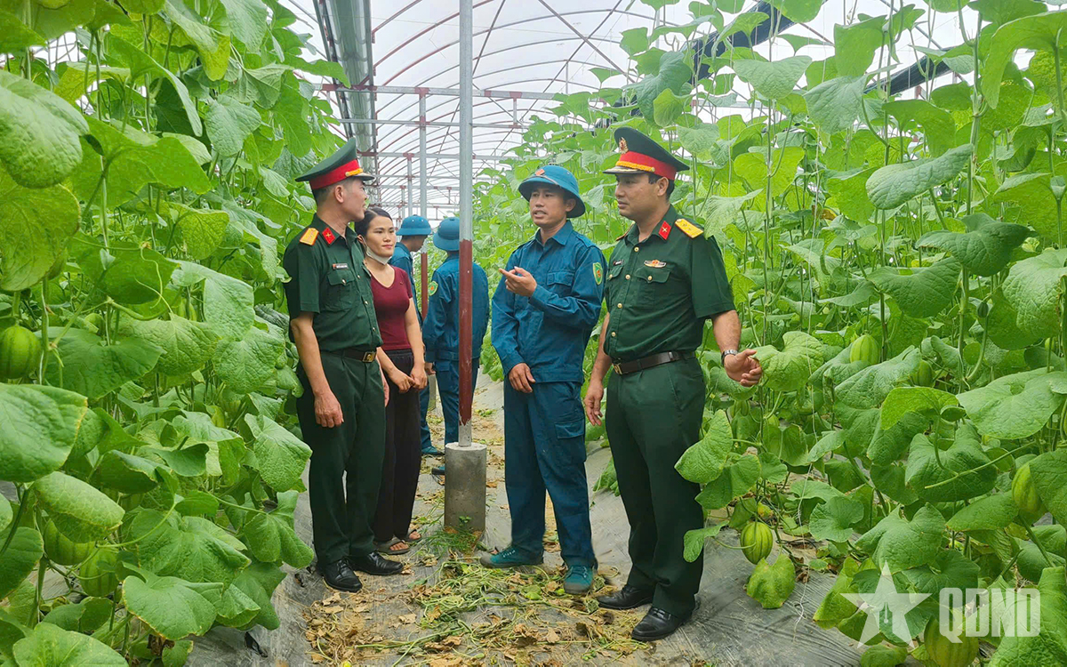 Thư về tòa soạn: Chiến sĩ dân quân làm kinh tế giỏi